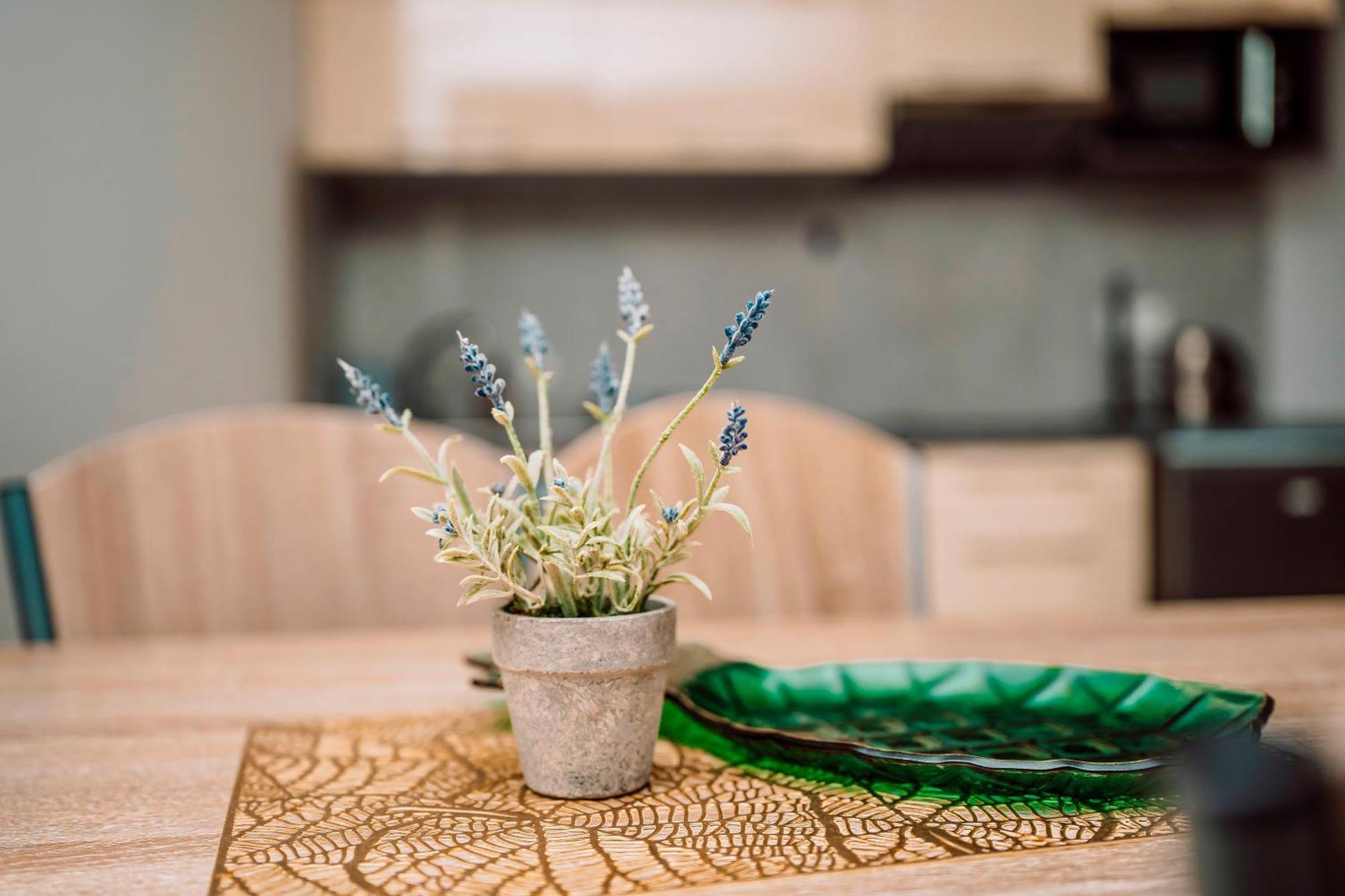 Apartamenty Majer Łeba Buitenkant foto
